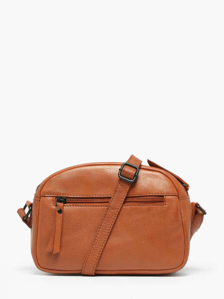 Crossbody Bag Four Seasons Leather Milano Brown four seasons SOPLB034 other view 4