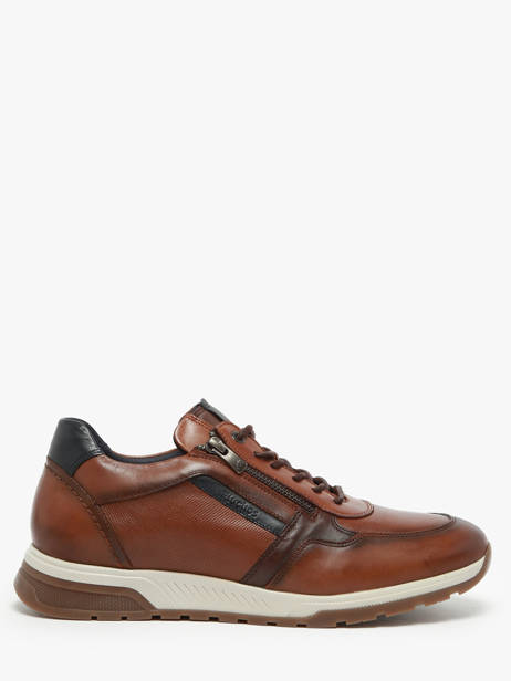 Sneakers Louis In Leather Fluchos Brown men F1600