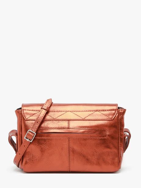 Small Leather Diane Ginger Crossbody Bag Paul marius Brown ginger DIANSGIN other view 3