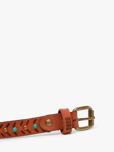 Ceinture Biba Marron accessoires WIN1A vue secondaire 2