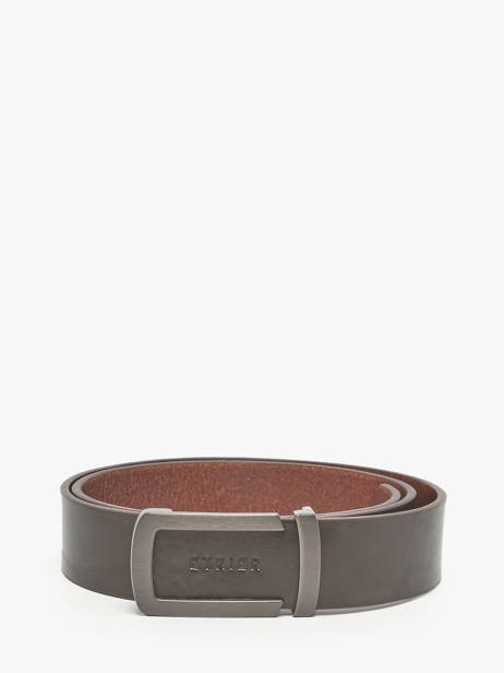 Belt Etrier Brown bride EBRI714C
