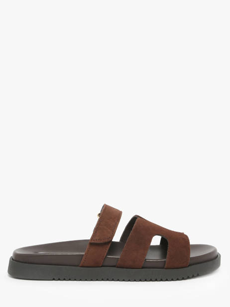 Sandals In Leather Steve madden Brown women 11003504