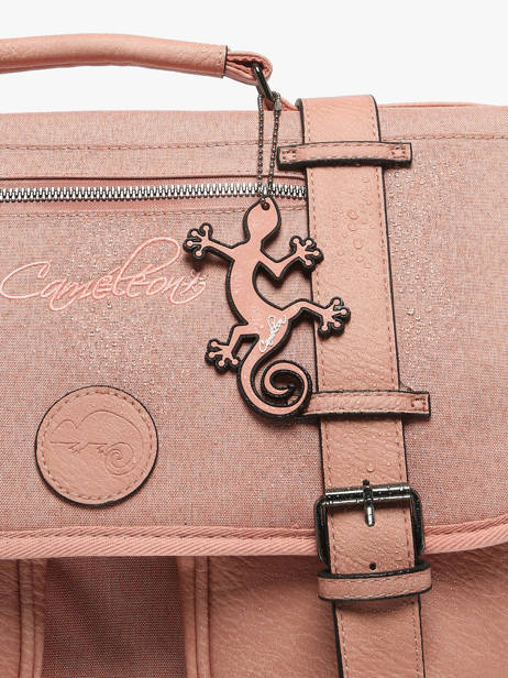 Satchel 2 Compartments Cameleon Pink vintage color CA38 other view 6