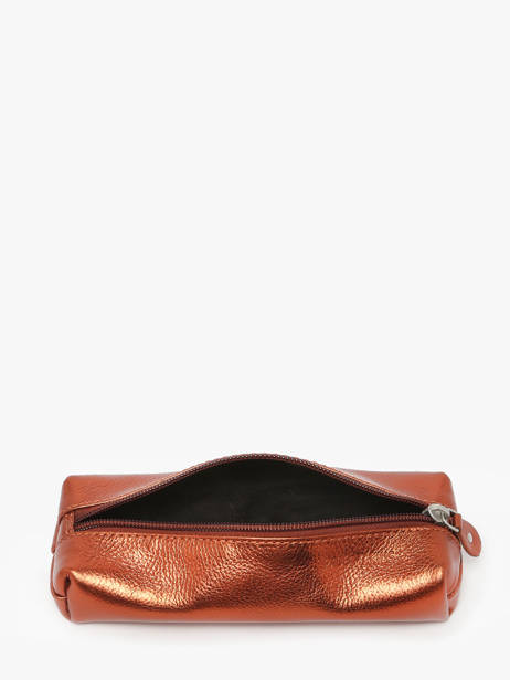 Le Plumier Ginger Cuir Paul marius Marron ginger PLUMIGIN vue secondaire 1