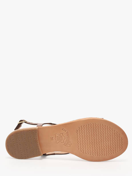 Flip Flops Hamoon In Leather Les tropeziennes Brown women HAMOON other view 9