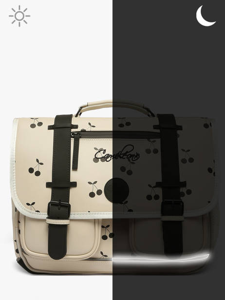 2-compartment Satchel Cameleon Beige vintage north PBVWCA38 other view 8