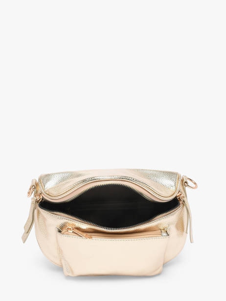 Belt Bag Miniprix Gold sangle 1 other view 1