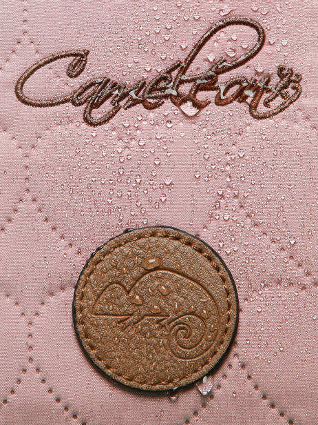 Sac à Dos Vintage Fantasy 2 Compartiments Cameleon Rose vintage fantasy SD39 vue secondaire 6